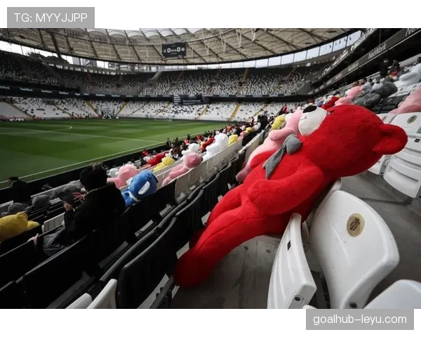 土耳其球迷热情如火，球场氛围回暖引关注