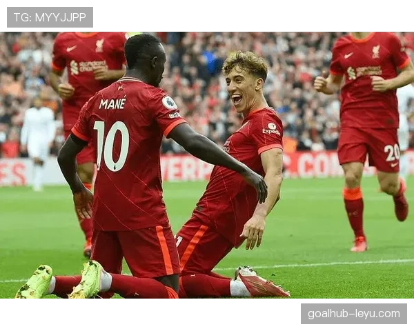 范戴克最新伤情与复出进展